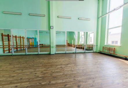  Зал хореографии 
Ледовый Дворец  г. Гомель  Беларусь 