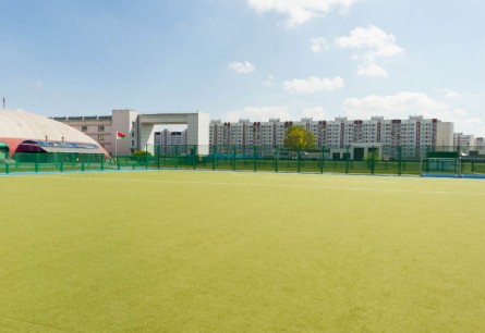  Площадка для игры в хоккей на траве 
Ледовый Дворец  г. Гомель  Беларусь 