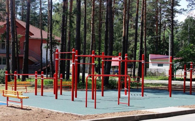  Спортивная площадка  для занятий Street Workout BR Гомельский лицей МЧС  Беларусь