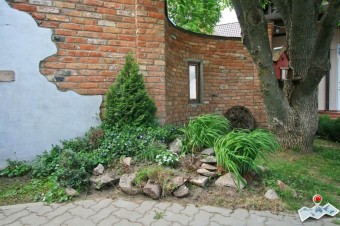  Кафе-бар  Мирум    Гродненская область  Беларусь 