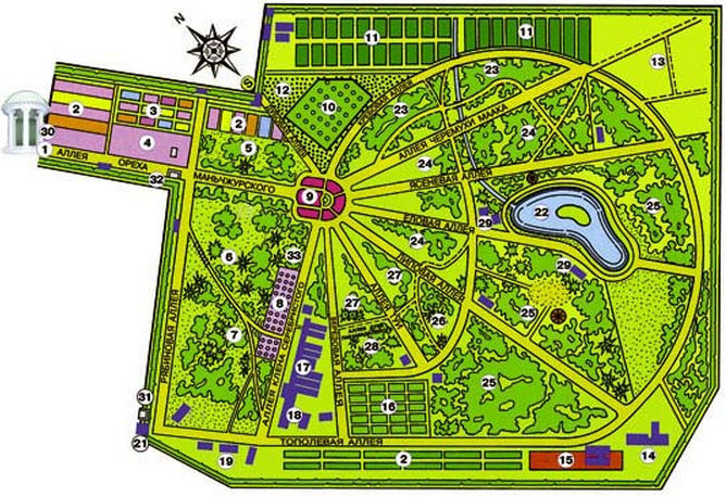 Схема ботанического сада  г. Минск  Беларусь  