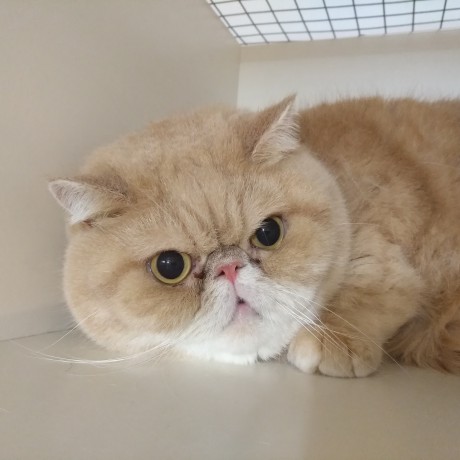 Фотогалерея