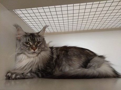 Фотогалерея