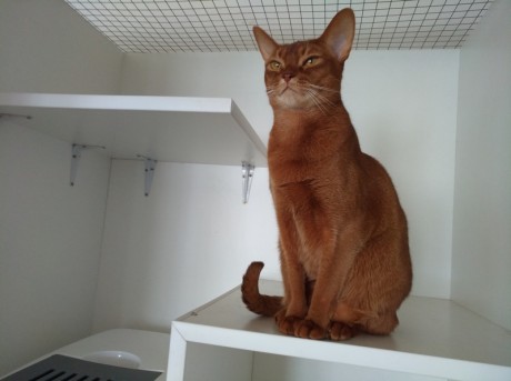 Фотогалерея