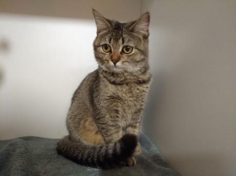 Фотогалерея