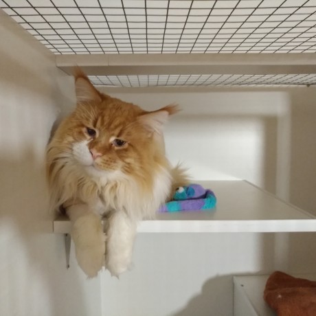 Фотогалерея