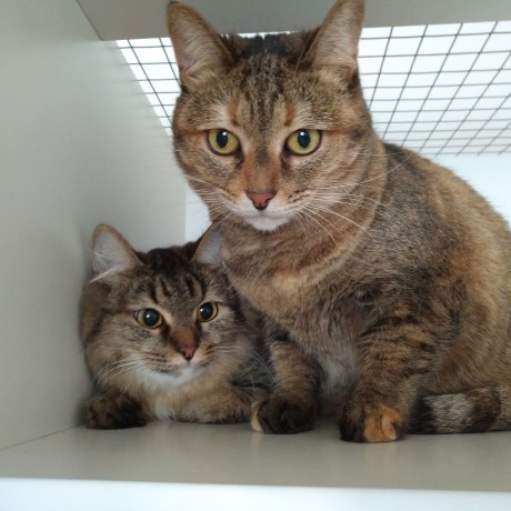 Фотогалерея