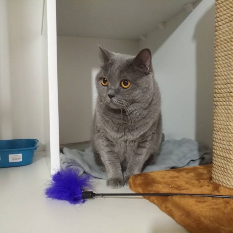 Фотогалерея