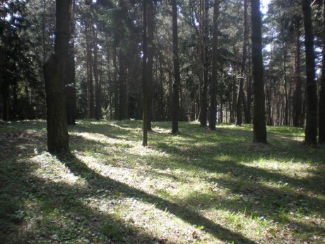 Парк 50-летия Октября  г. Минск  Беларусь 
