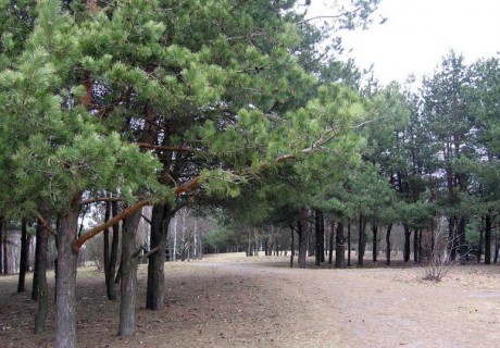 Парк 60-летия Октября  BR г. Минск  Беларусь