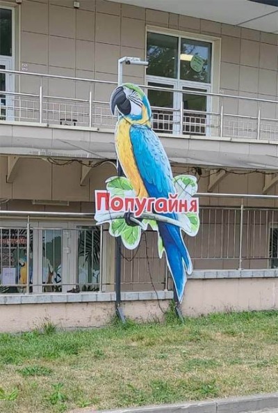 Дом ручных попугаев "Попугайня"  г. Минск  Беларусь 