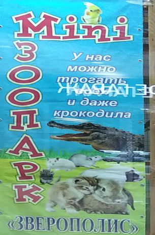 Mini зоопарк "Зверополис"  г. Минск  Беларусь 