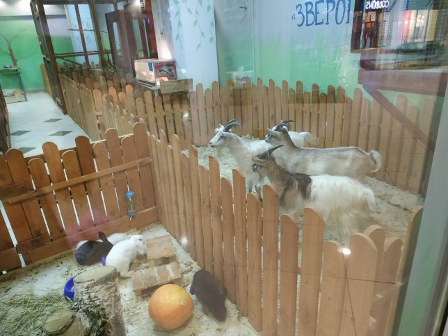  Mini зоопарк "Зверополис"   г. Минск  Беларусь 
