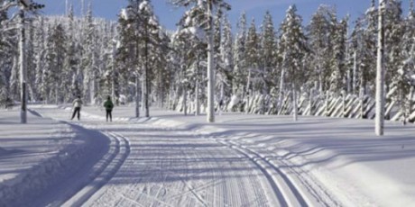 Лыжероллерная трасса спорткомплекса  Раубичи 