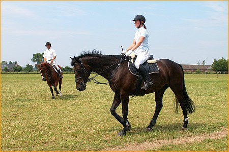 Республиканский центр Олимпийской Подготовки Конного Спорта и Коневодства  Минская область  Беларусь 
