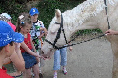  Экскурсии 
Центр Конного Спорта
Минский район  аг Ратомка 