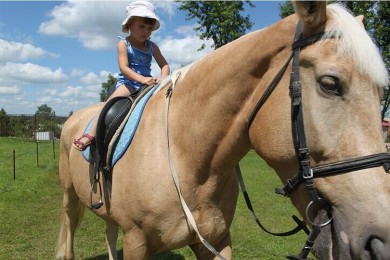  Катание на лошадях 
Центр Конного Спорта
Минский район  аг Ратомка 