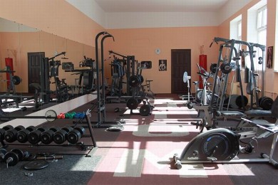  Тренажерный зал 
Центр Конного Спорта
Минский район  аг Ратомка 