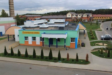  Ветеринарная клиника 
Центр Конного Спорта
Минский район  аг Ратомка 