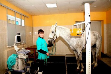  Ветеринарная клиника 
Центр Конного Спорта
Минский район  аг Ратомка 