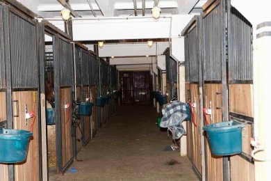  Содержание лошадей 
Центр Конного Спорта
Минский район  аг Ратомка 