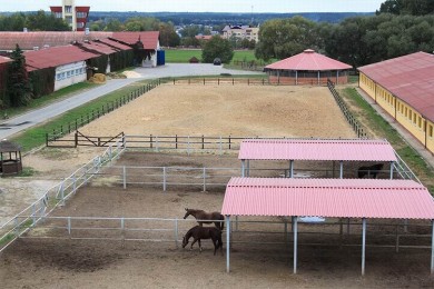  Содержание лошадей 
Центр Конного Спорта
Минский район  аг Ратомка 