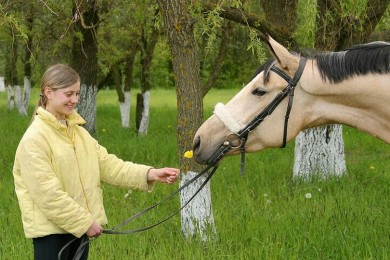 Центр Конного Спорта 
Минский район  аг Ратомка 