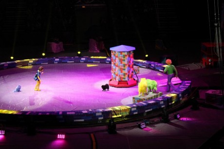 Цирк  Конструктор   г. Минск  Минск-Арена  27 декабря 2015 