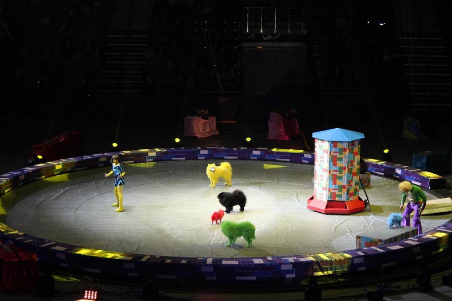 Цирк  Конструктор   г. Минск  Минск-Арена  27 декабря 2015 