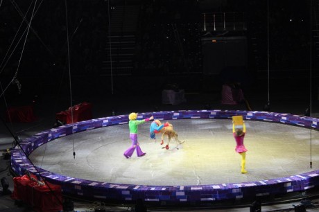 Цирк  Конструктор   г. Минск  Минск-Арена  27 декабря 2015 