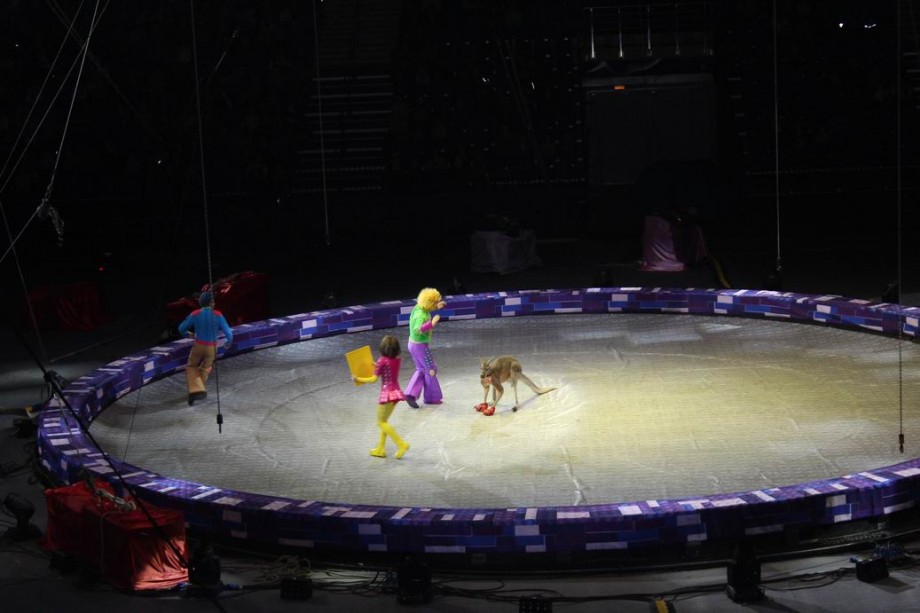 Цирк  Конструктор   г. Минск  Минск-Арена  27 декабря 2015 