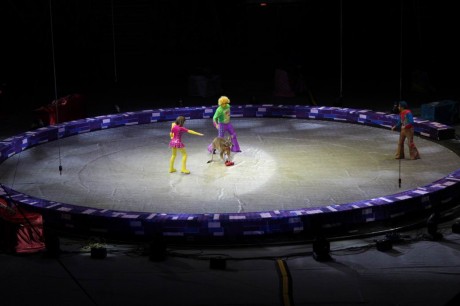 Цирк  Конструктор   г. Минск  Минск-Арена  27 декабря 2015 