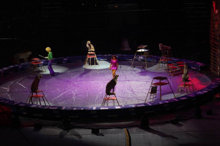 Цирк  Конструктор   г. Минск  Минск-Арена  27 декабря 2015 