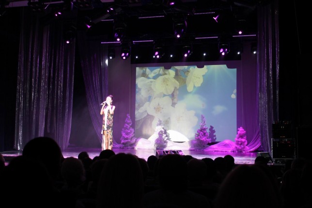 Эстрадная шоу-программа  Снежная LOVE STORY 