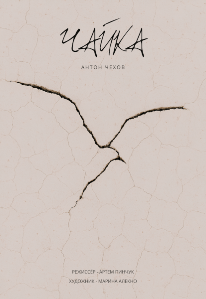 Спектакль "Чайка"