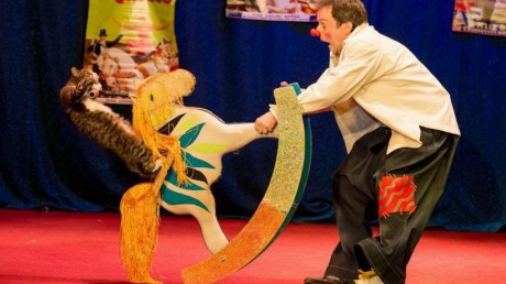 Театр кошек Юрия Куклачева