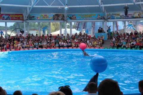  Дельфинарий  в Минском Зоопарке  27 августа 2016 
 г. Минск  улица Ташкентская  40 
