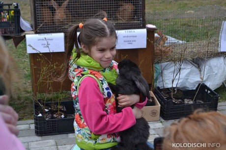  Выставка-ярмарка  Вяснадар 2015   BR агрогородок Колодищи  Минская область 