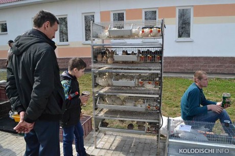  Выставка-ярмарка  Вяснадар 2015   BR агрогородок Колодищи  Минская область 