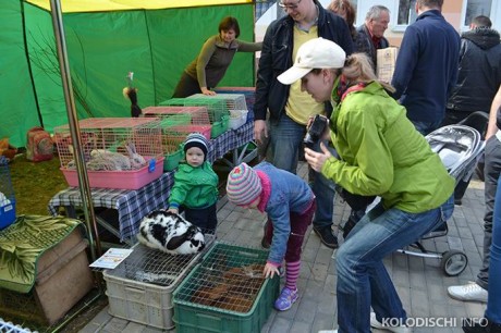  Выставка-ярмарка  Вяснадар 2015   BR агрогородок Колодищи  Минская область 