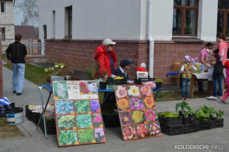  Выставка-ярмарка  Вяснадар 2015   BR агрогородок Колодищи  Минская область 