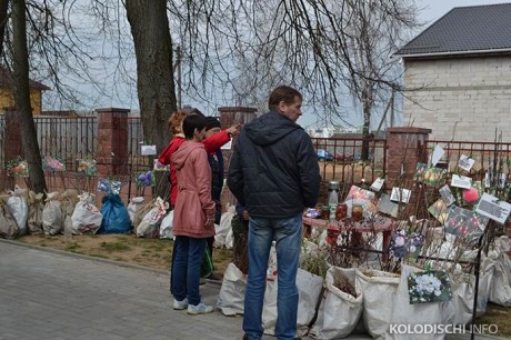  Выставка-ярмарка  Вяснадар 2015   BR агрогородок Колодищи  Минская область 