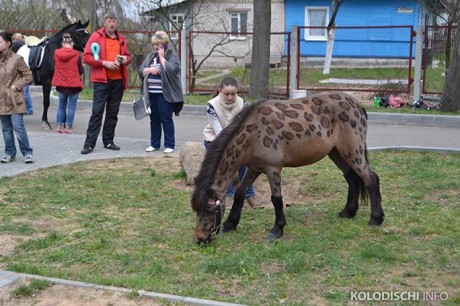  Выставка-ярмарка  Вяснадар 2015   BR агрогородок Колодищи  Минская область 