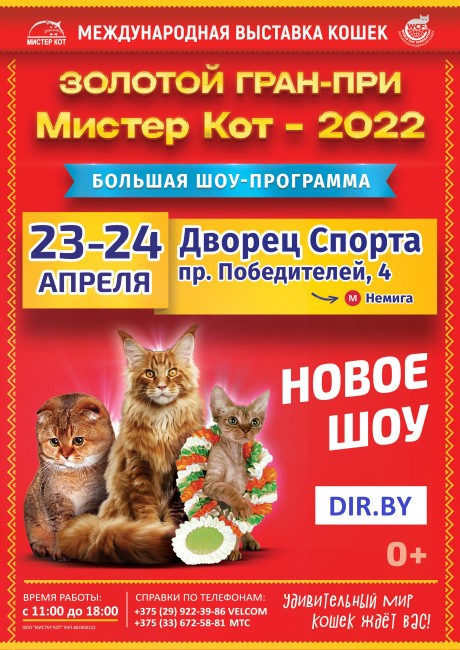 ЗОЛОТОЙ ГРАН-ПРИ Мистер Кот – 2022! Международная выставка кошек в Минске!