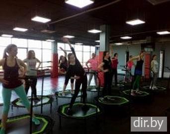 Фитнес (пилатес, джампинг, йога, zumba, стретчинг и другое).<BR> Место: Фитнес-центр  Адреналин ,  г. Минск