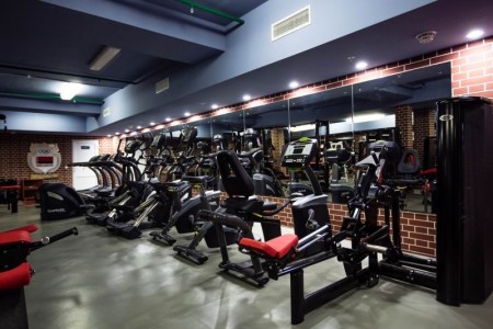 Занятия в тренажерном зале |  <BR>(Дворец спорта 'Уручье' , г. Минск , проспект Независимости, 196 )